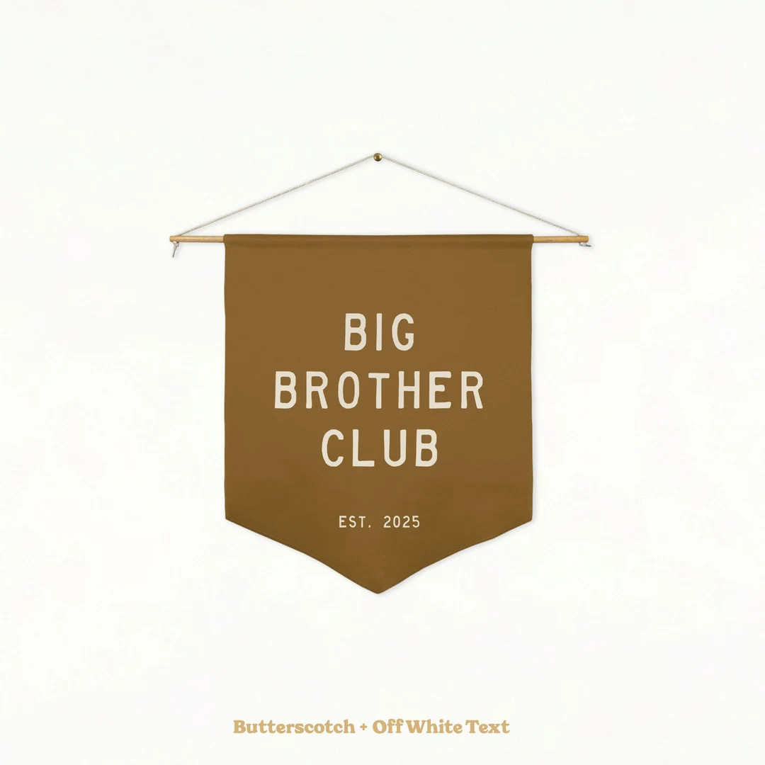 Big Brother Club Pennant | Boys Room Decor, Brotherhood Wall Art, Camp Flag, Sibling Gift, Baby A... | Etsy (US)