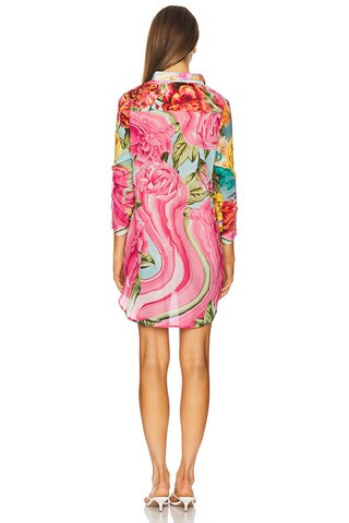 Crystal Mirage Button Up Dress in Multicolor | Revolve Clothing (Global)