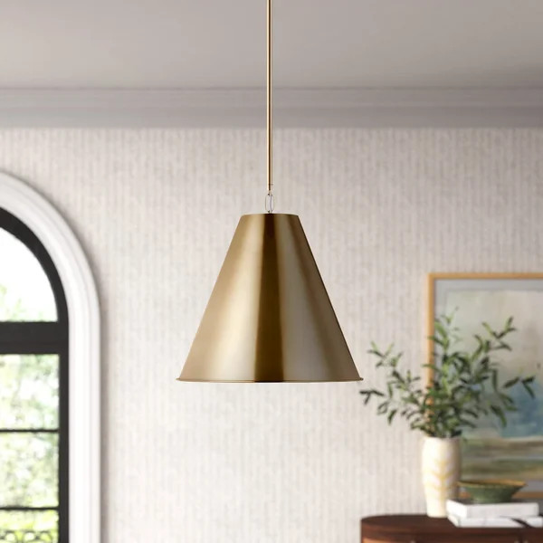 Newton 1 - Light Single Cone Pendant | Wayfair North America