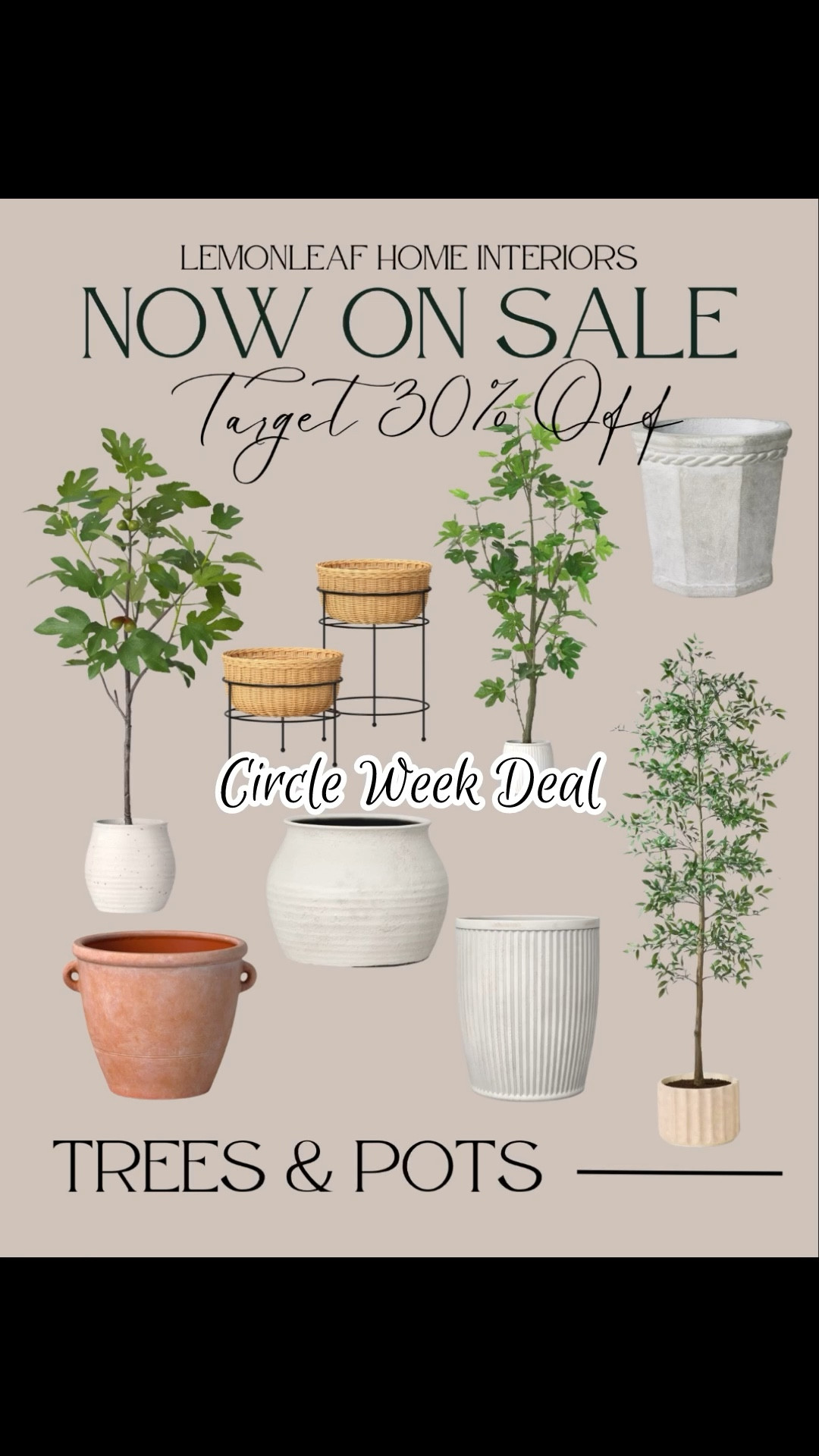 30% off Patio planters and trees on sale for Target circle week. 


#LTKWatchNow #LTKSaleAlert #LTKSeasonal