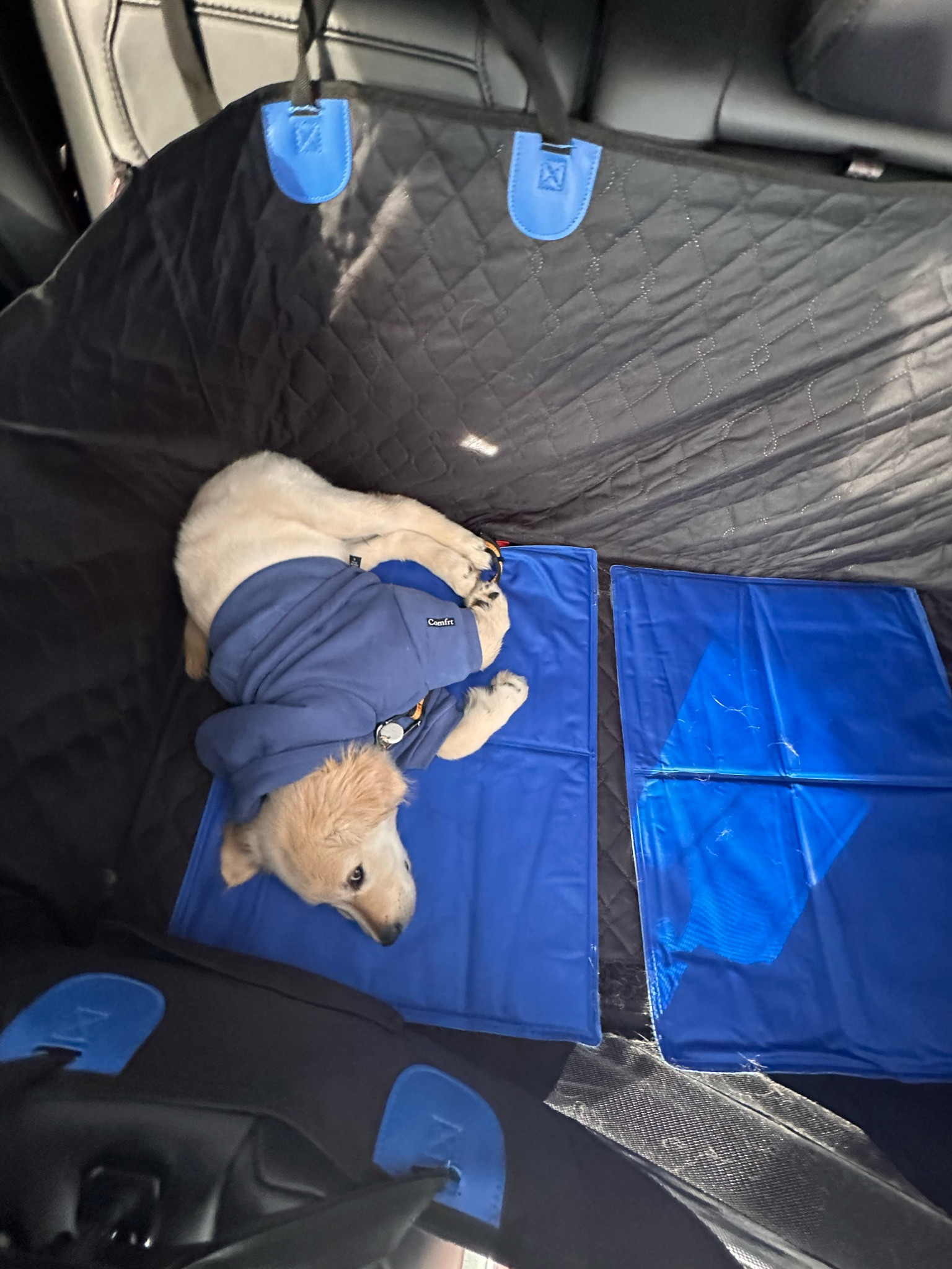 Two car seats we LOVE I couldn’t do it without one. 