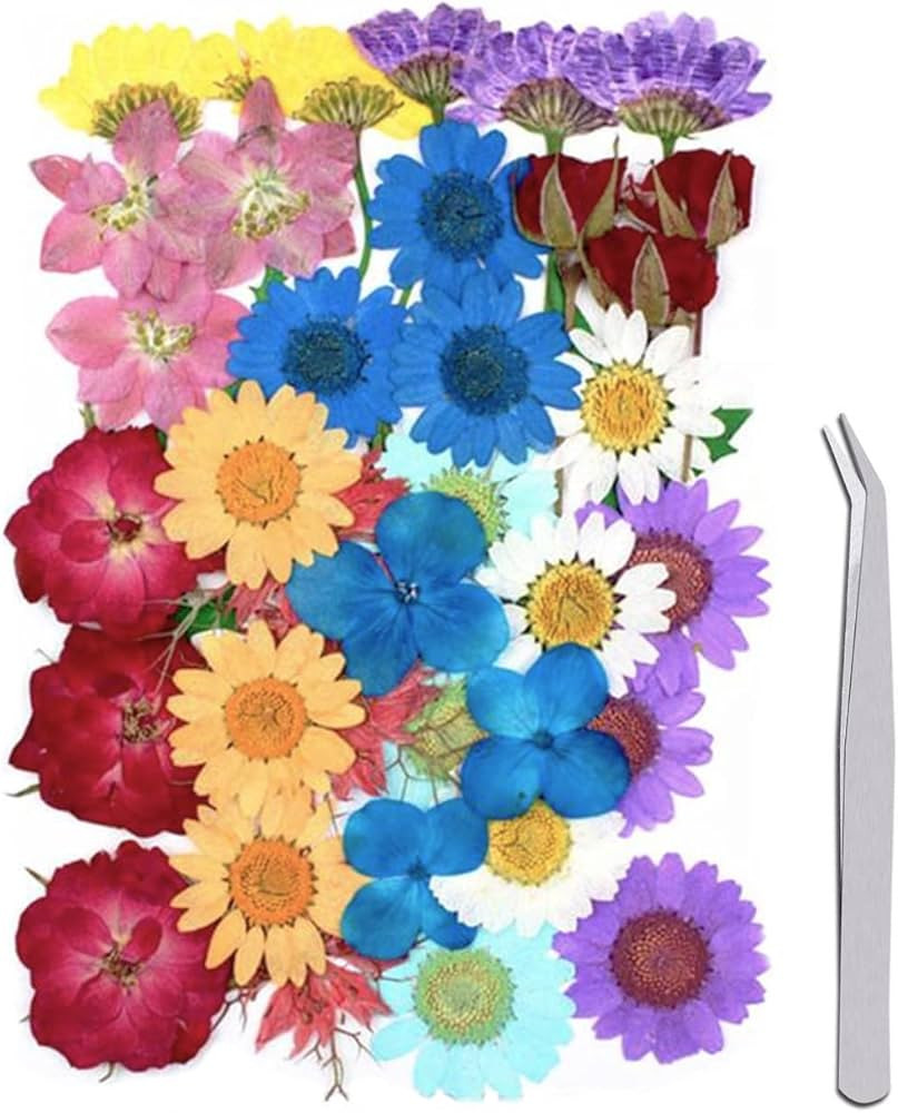 Marca: WJIAEER | Amazon (IT)