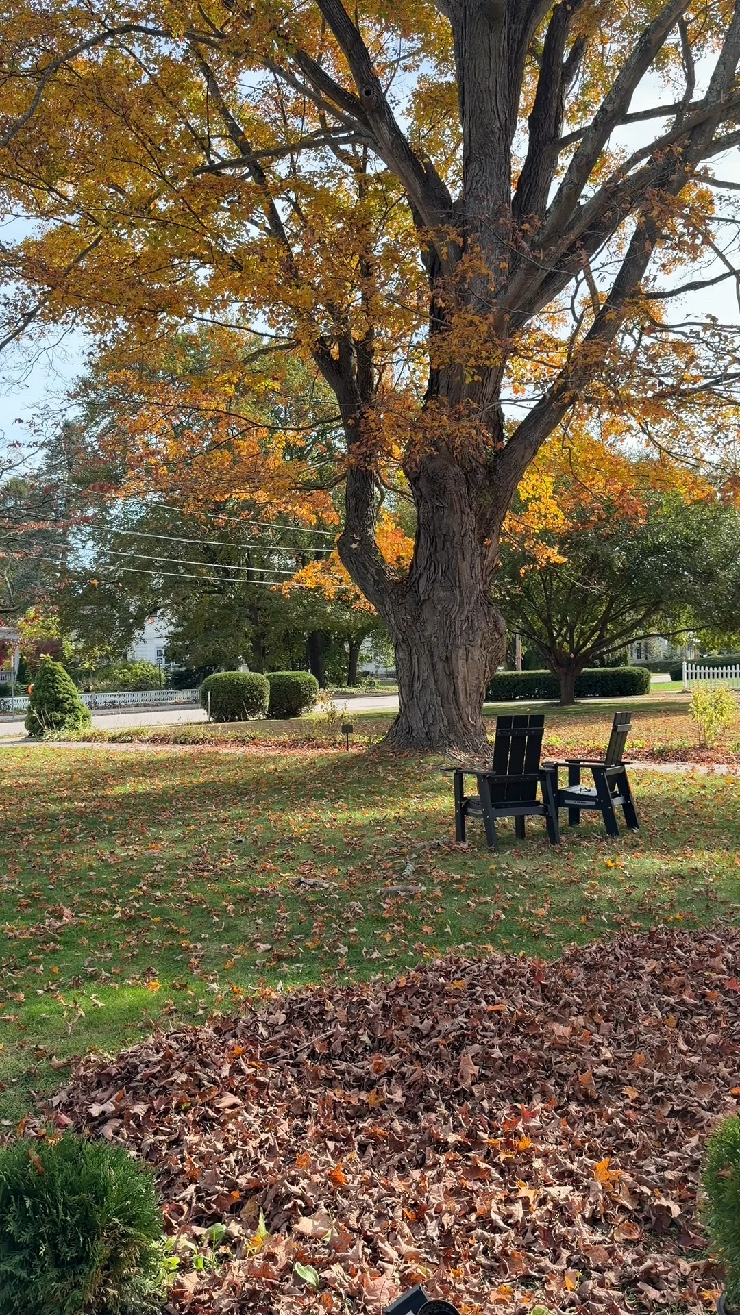 Breeo (upright) Adirondack Chairs

#LTKHome