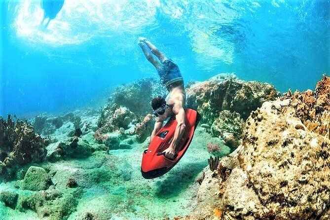 90-Minute Snorkel & Seabob Underwater Guided Reef Tour in Fort Lauderdale | Viator – A TripAdvisor Company (US)