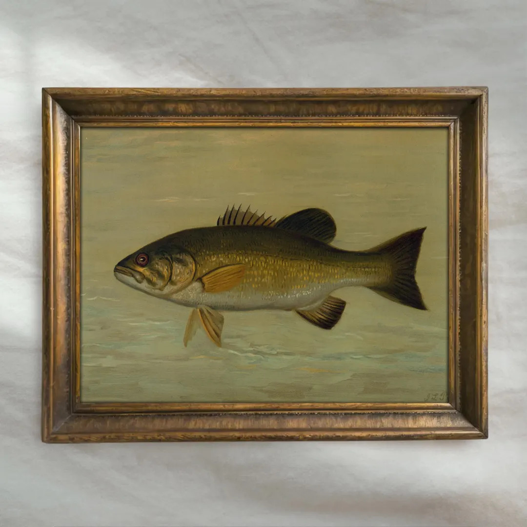 Vintage Bass Oil Painting | Antique Fishing Artwork | Lake House Fish Wall Decor | Mailed Print -... | Etsy (US)