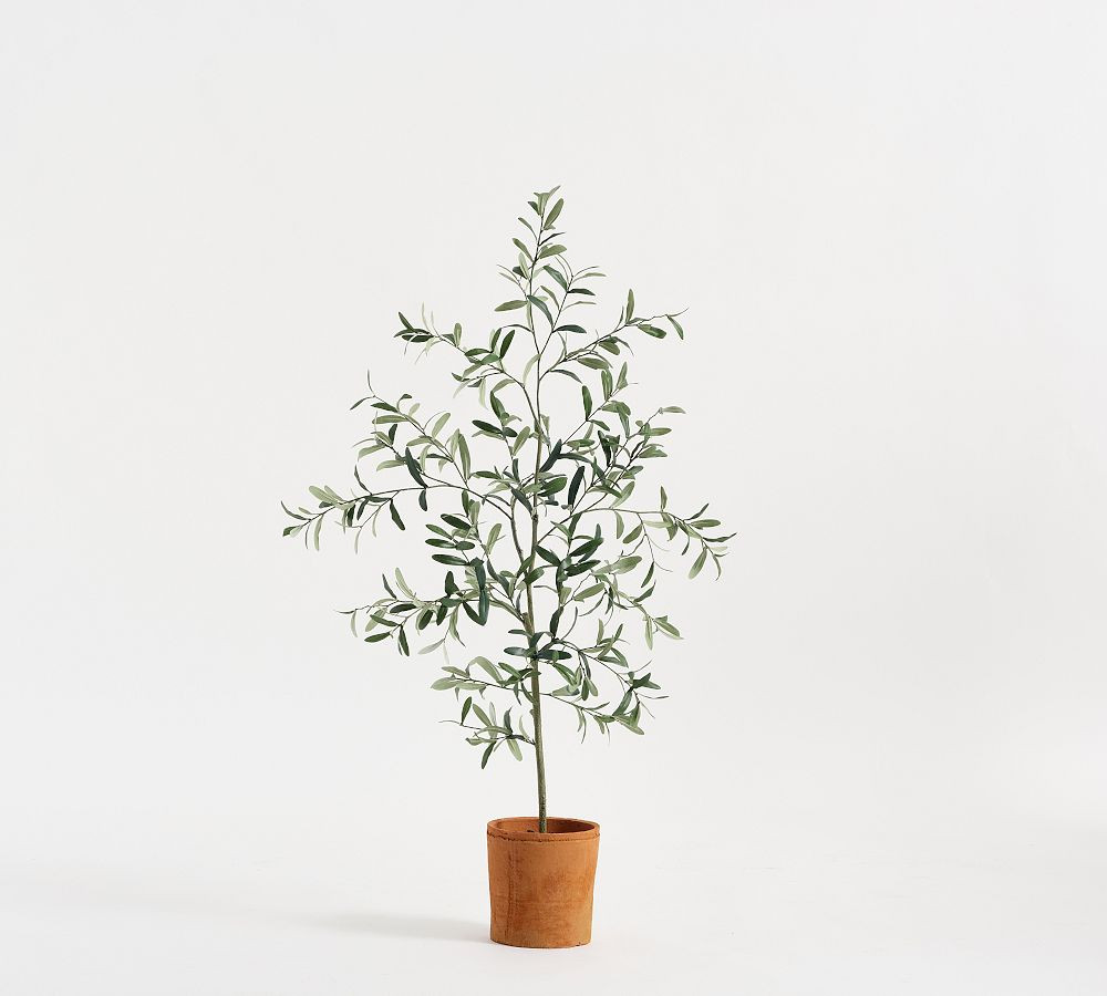 Faux Terracotta Potted Olive Tree | Pottery Barn (US)