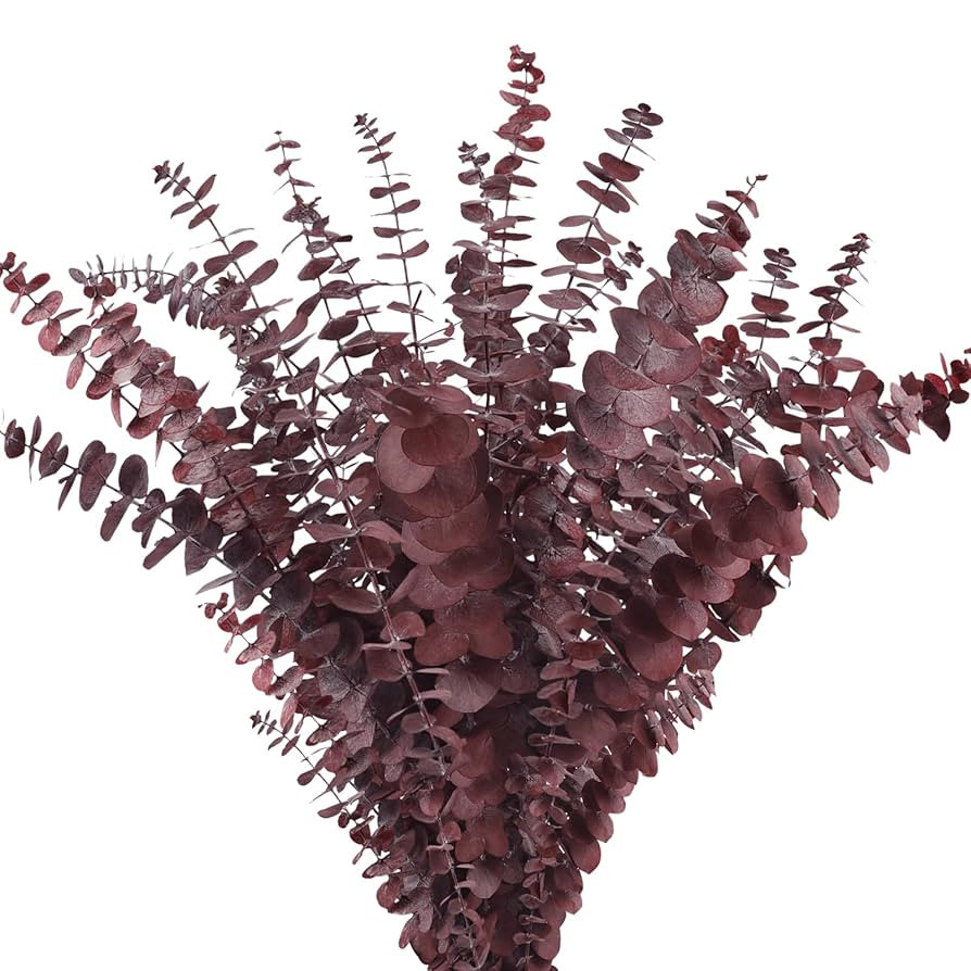 Real Dried Eucalyptus Stems, 20Pcs 17inch Red Preserved Fresh Eucalyptus Stems Plant for Home Vas... | Amazon (US)