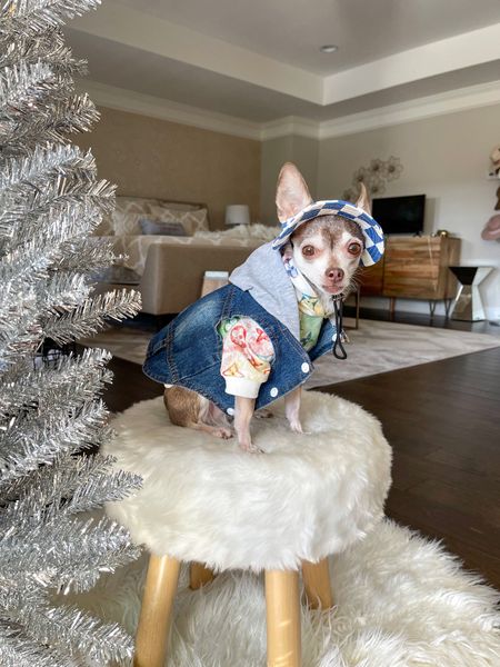 Cute outfit for the dog!

Dog clothes, jean jacket, dog jacket, dog hoodie, checkered print, dog hat

#LTKfamily #LTKSeasonal #LTKunder50