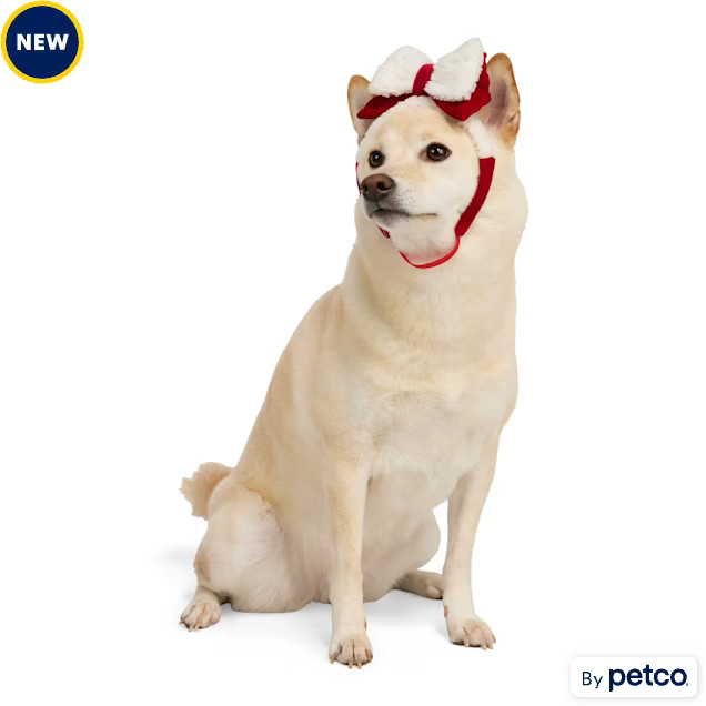 Merry Makings Bow Costume Pet Headband, Small/Medium | Petco
