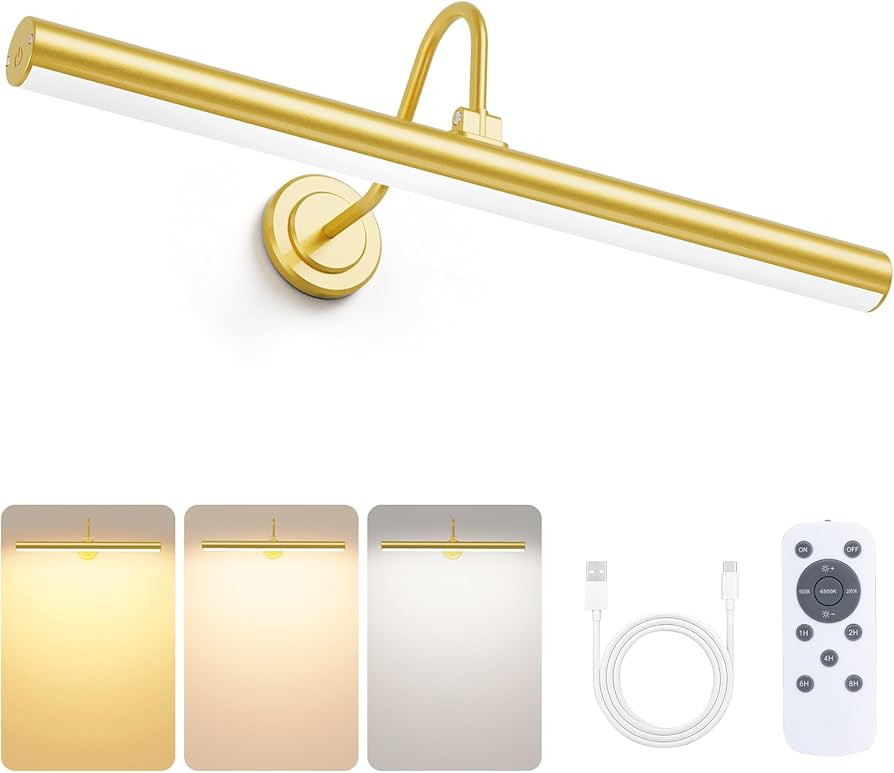 Bridika 16.5in Picture Lights for Wall Battery Operated, Wireless Picture Light with Remote, 3 Co... | Amazon (US)