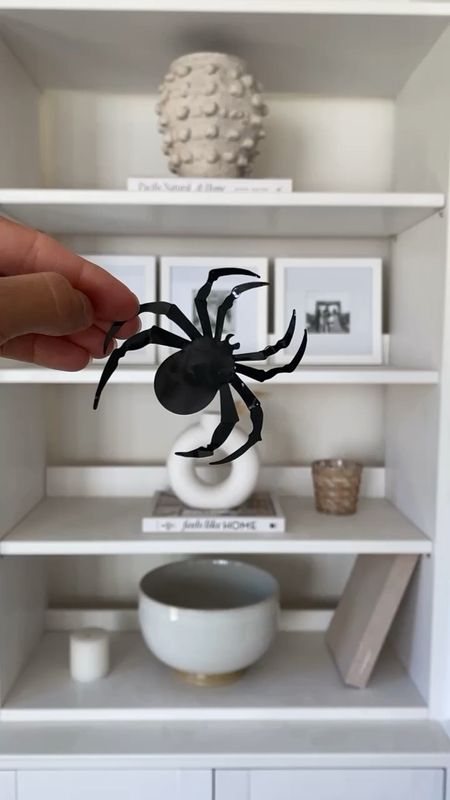 3D spiders that stick on smooth surfaces. They come in a package with three different sizes. 

#spookyseason
#halloweendecor
#3dspiders
#3dbats


#LTKSeasonal #LTKunder50 #LTKhome