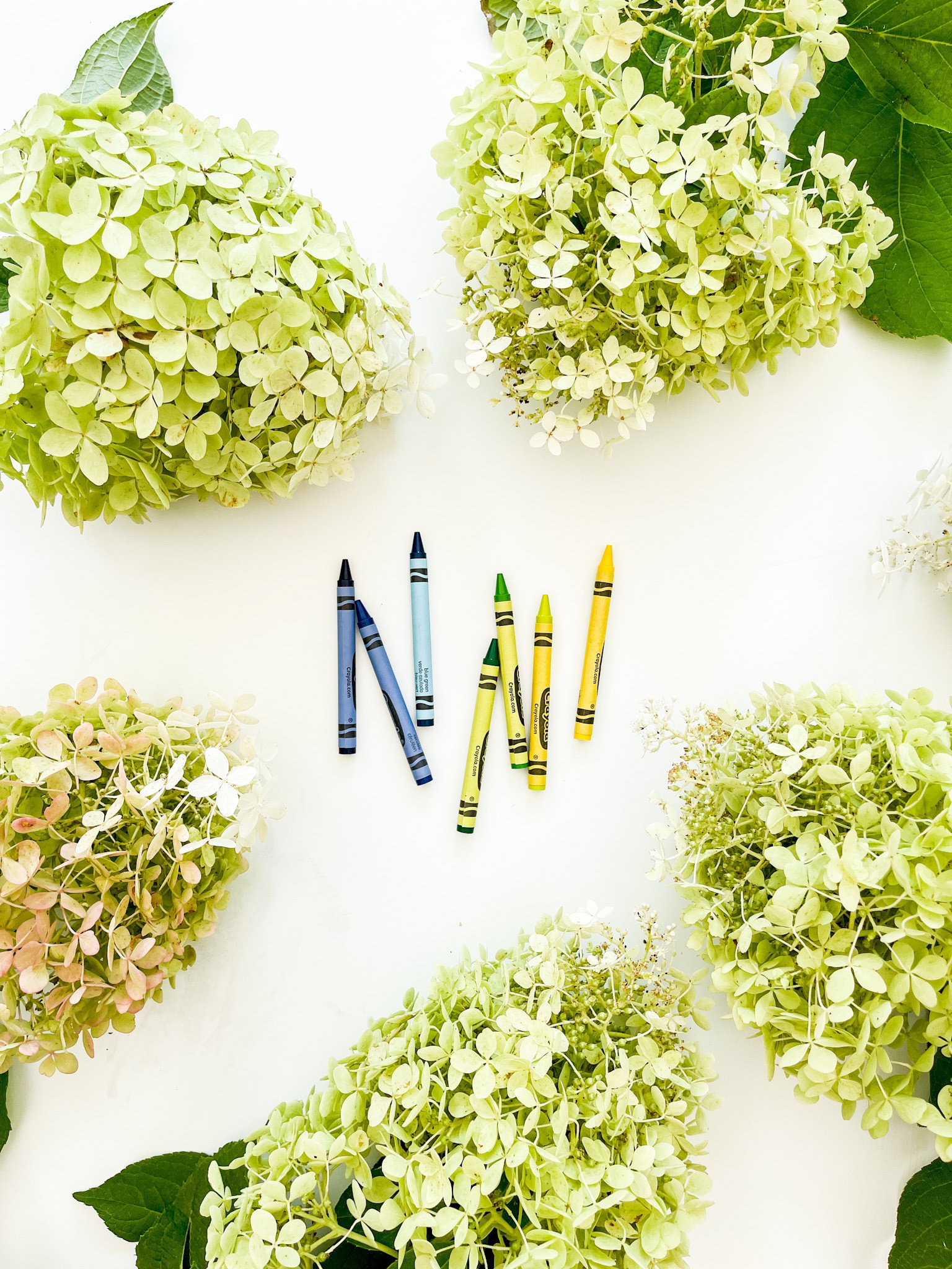 
Our goddaughter Zoe is back to school and she and I had a little shopping date a while back. #walmartpartner  Today we practiced letters (and caterpillars 😂), but also tested all the scents of her washable scented markers! @walmart not only has supplies for all your back to school needs (including markers, crayons for only $.50, pens, notebooks, calculators, lunch packs, water bottles, and much more), but you can also get all the gear your kids are excited about without breaking your budget! Linking all of her back to school favorites here! #WalmartBackToSchool #Walmart #ltkunder50 #ltkunder100 #ltkfamily #ltksalealert #ltkseasonal #ltkkids

#LTKfamily #LTKkids #LTKSeasonal