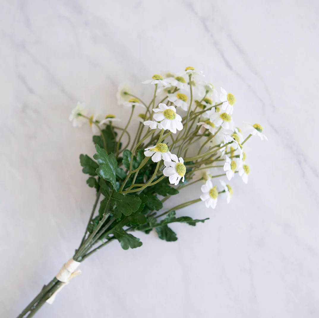 Daisy Bundle | Elements by Remedy