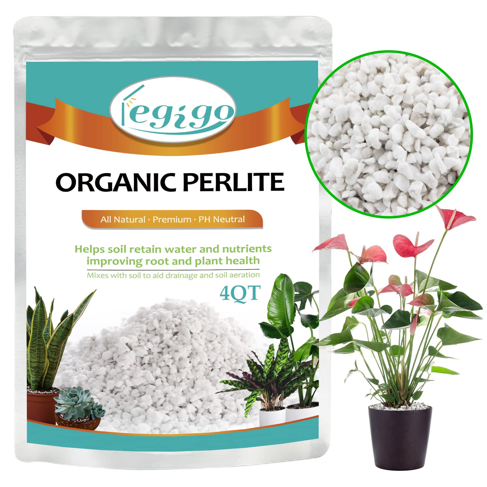 Legigo 4 Quarts Organic Horticultural Perlite for Plants Indoor- Natural Horticultural Soil Addit... | Amazon (US)