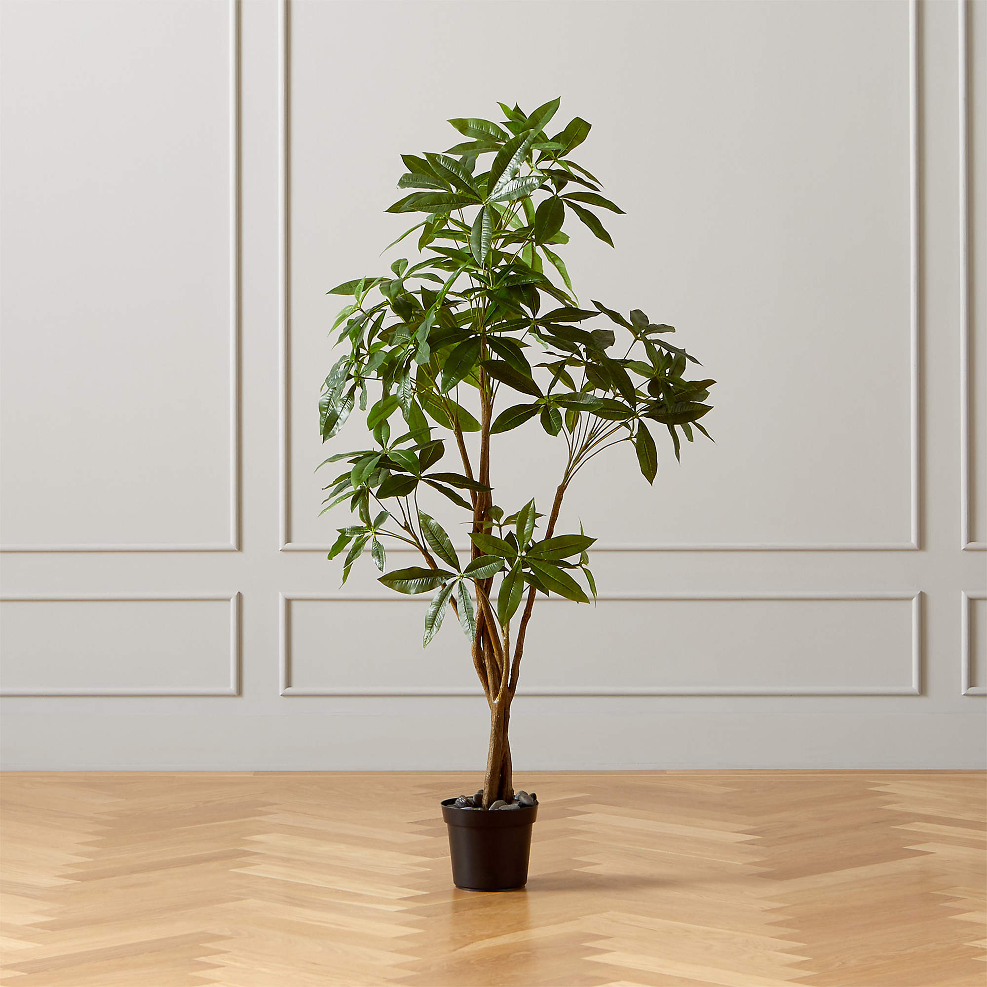 Faux Potted Money Plant 5' + Reviews | CB2 | CB2