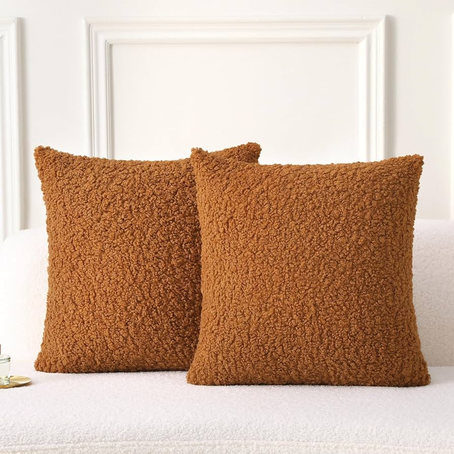 FUTEI Pack of 2 Faux Fur Teddy Boucle Pillow Covers 18x18 Inch, Rust | Amazon (US)
