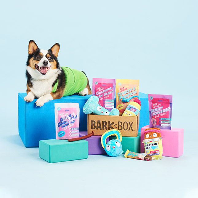 Dog happiness, delivered monthly A totally customized box of themed toys and treats for your pup... | BarkBox