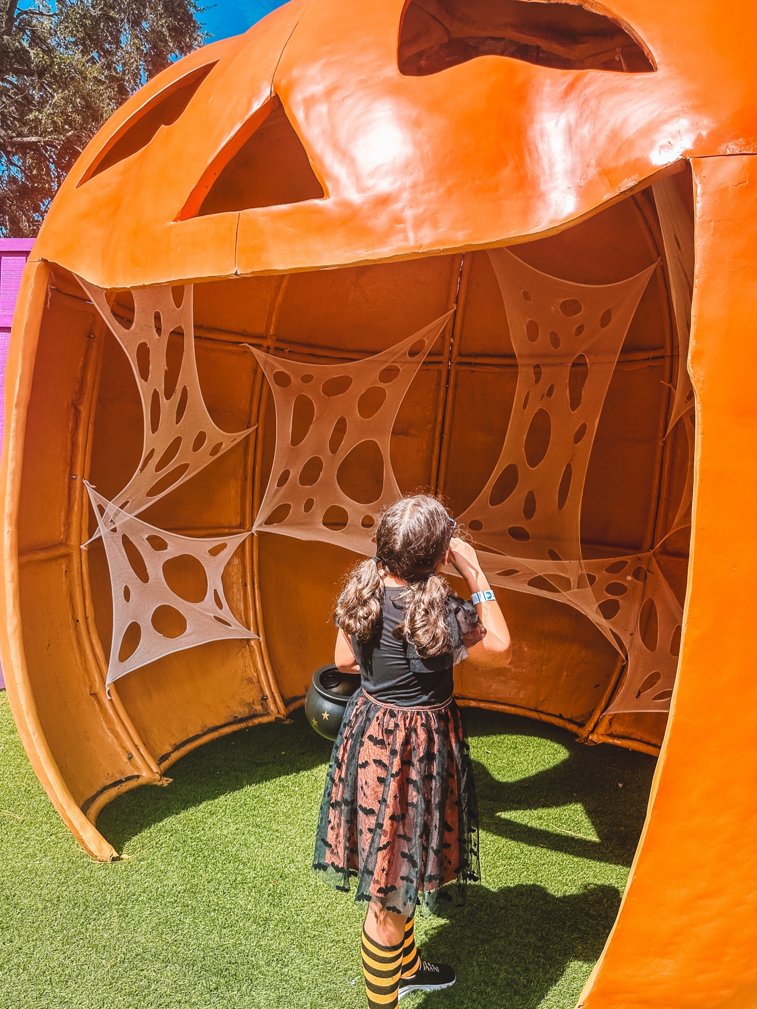Target dress for girls perfect for Halloween season featuring cute bats and Halloween colors orange and black 

#LTKSeasonal #LTKFallSale #LTKKids
