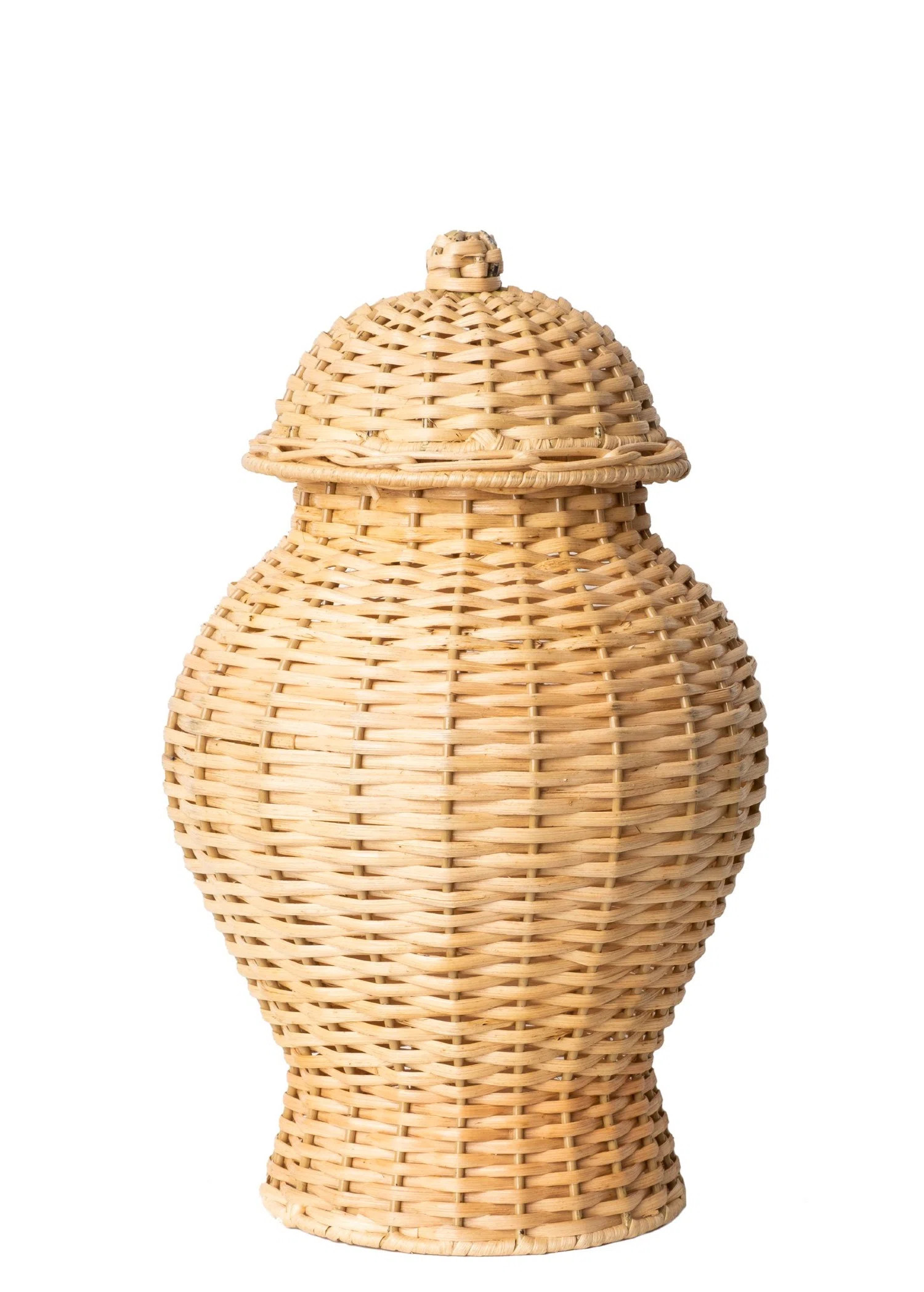Bay Isle Home™ Draco Ginger Jar | Wayfair | Wayfair North America