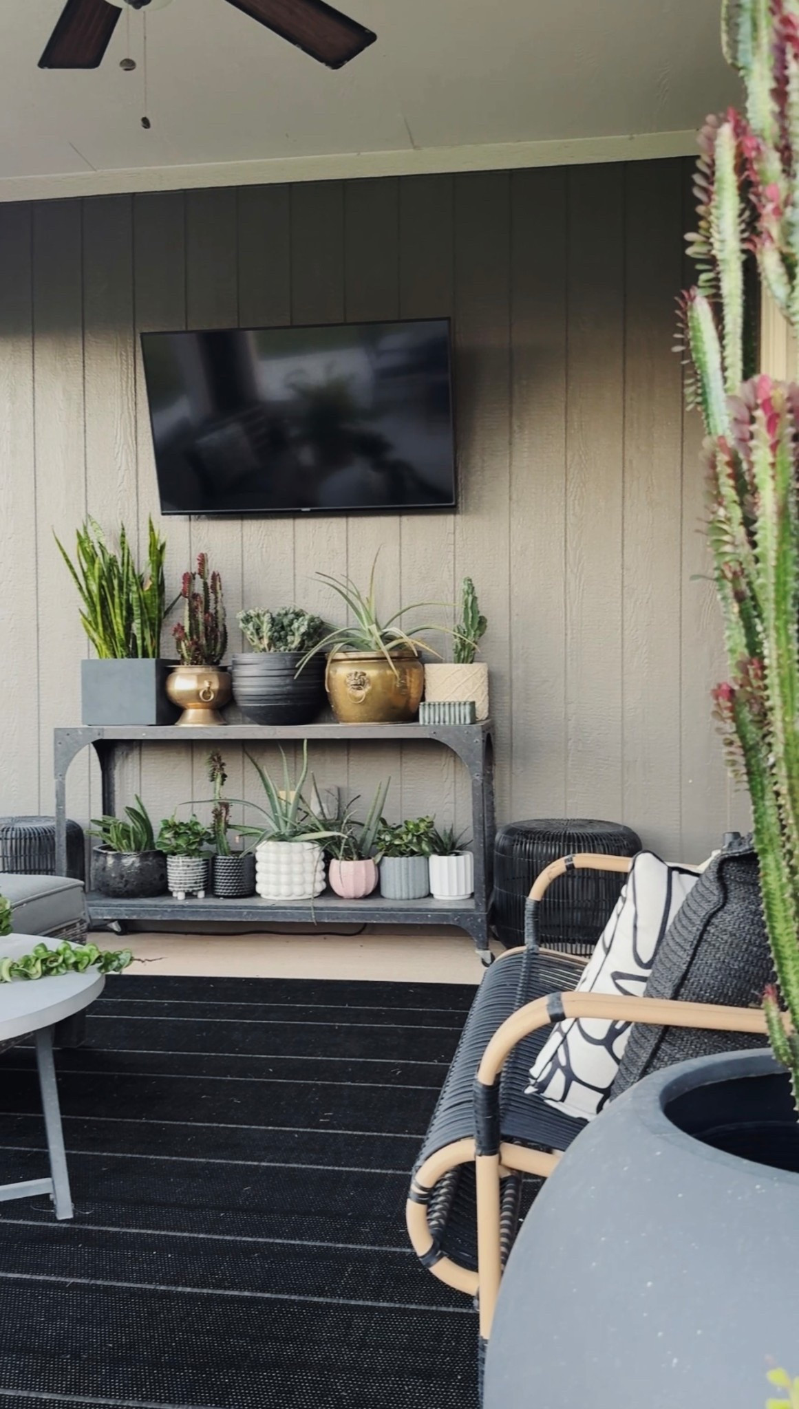 My outdoor rug is currently on sale at Target for $40 off! It hides dirty paw prints so much better than our old one. Grab it now and store it until spring!

#LTKSeasonal #LTKSaleAlert #LTKHome