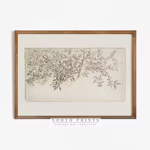Simple Botanical Sketch | Neutral Minimalist Wall Art | Vintage Drawing | PRINTABLE Digital 982 | Etsy (US)