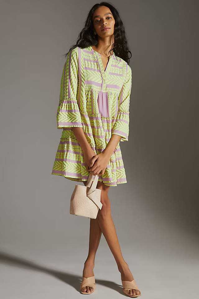 Petra Embroidered Tunic Dress | Anthropologie (US)
