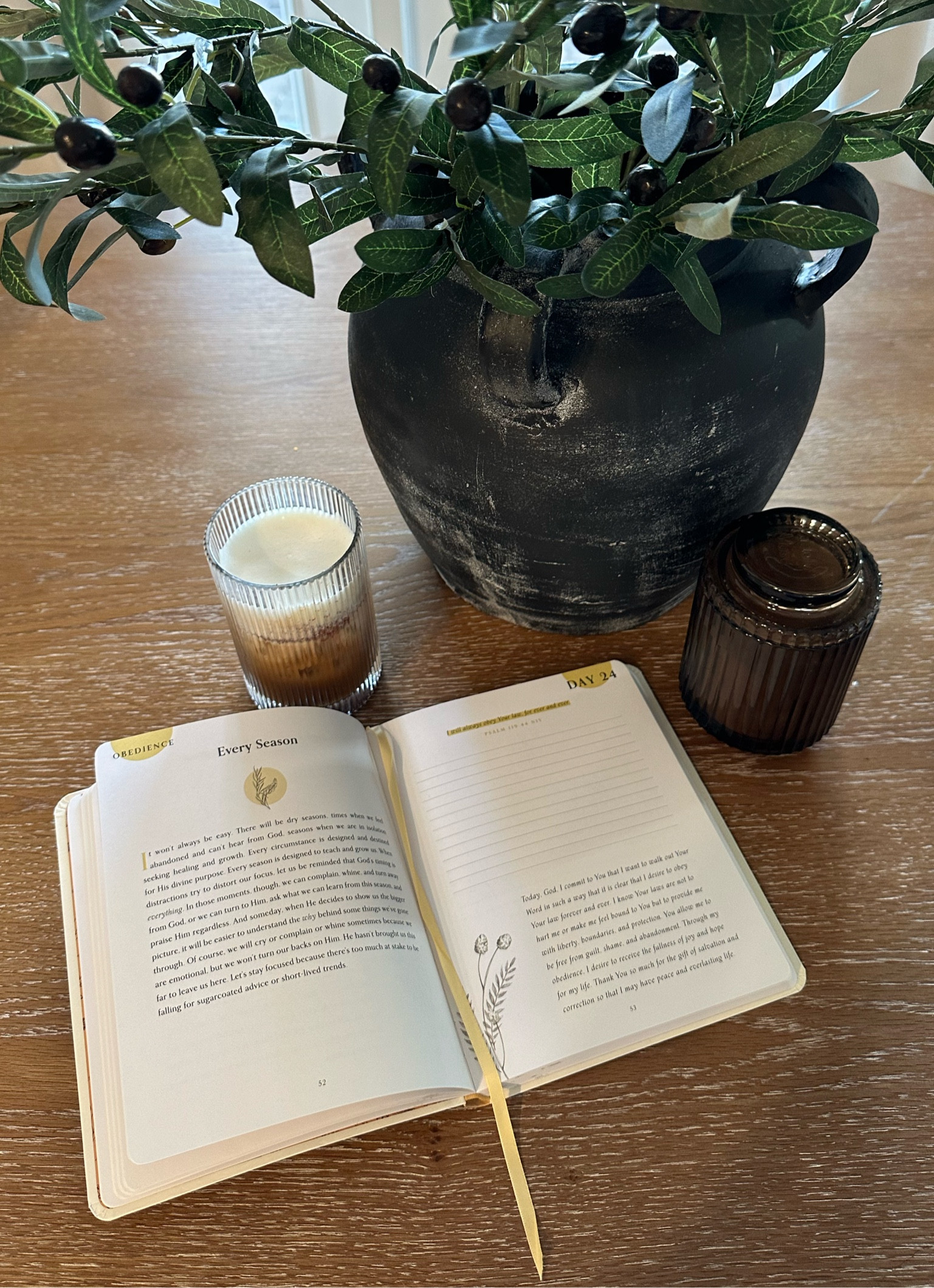 100 days of living deeply rooted 


#LTKfamily #LTKMostLoved #LTKGiftGuide