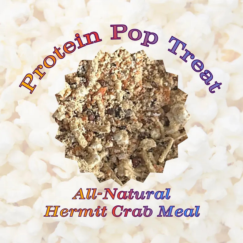Protein Pop Treat - A Real Hermit Crab Meal Disguised as a Treat - Etsy | Etsy (Global)