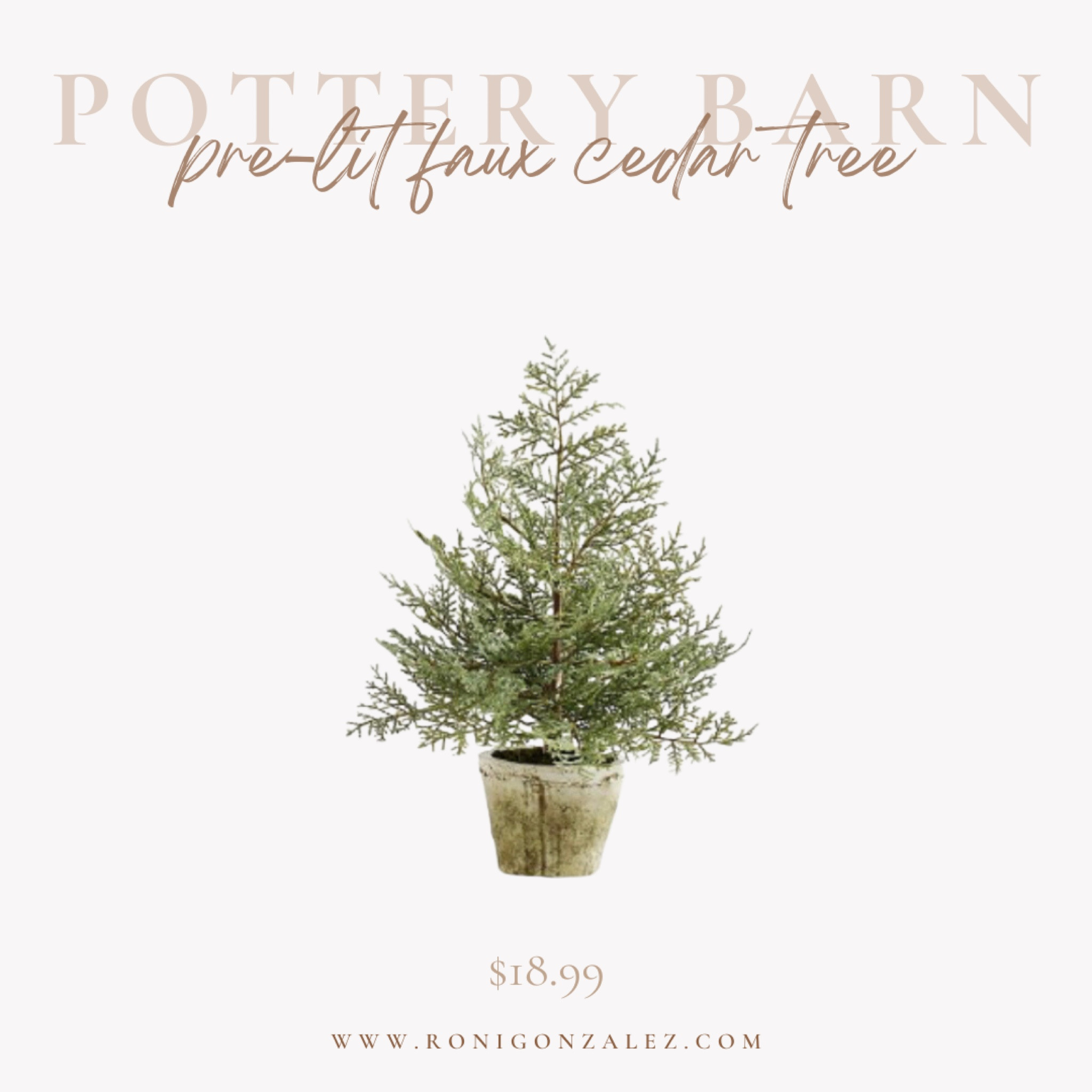 Pottery Barn 1’ height pre-lit faux cedar tree | Sale | Christmas tree | Christmas decor 

#potterybarn #potterybarnfinds #holidaydecor #christmasdecor #fauxcedartree #ronigonzalez

#LTKHoliday #LTKhome #LTKsalealert