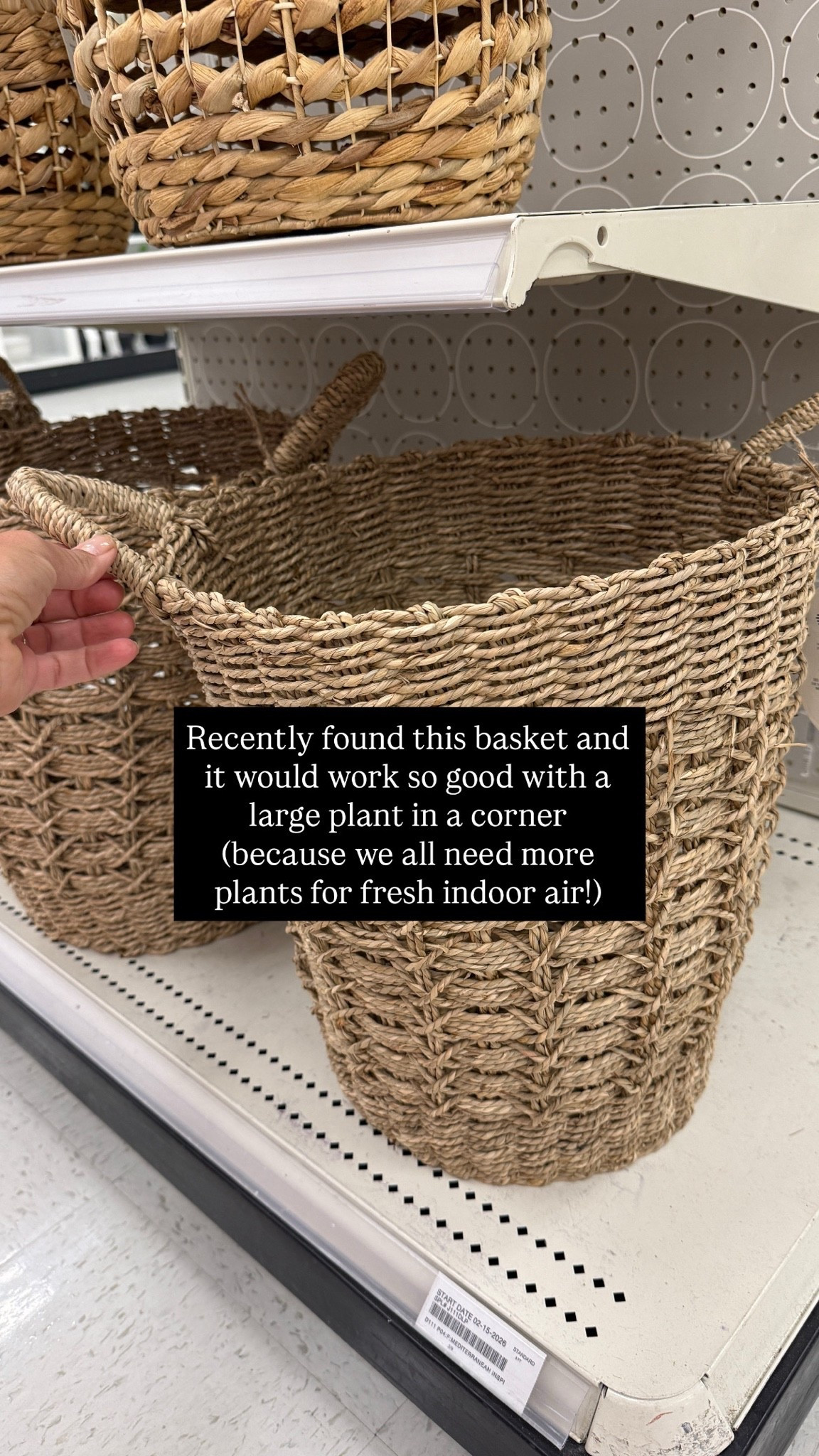 These baskets for plants! So cute