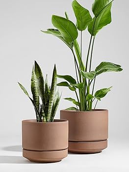 LE TAUCI 12 Inch Pots for Plants with Saucer | Ceramic Outdoor & Indoor Planter Pot for Plants | ... | Amazon (US)