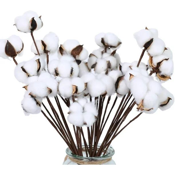 Cotton Stems 30 Pack, Farmhouse Decor Fall Decorations for Rustic Home, Office, Hotel, Floral Fil... | Walmart (US)