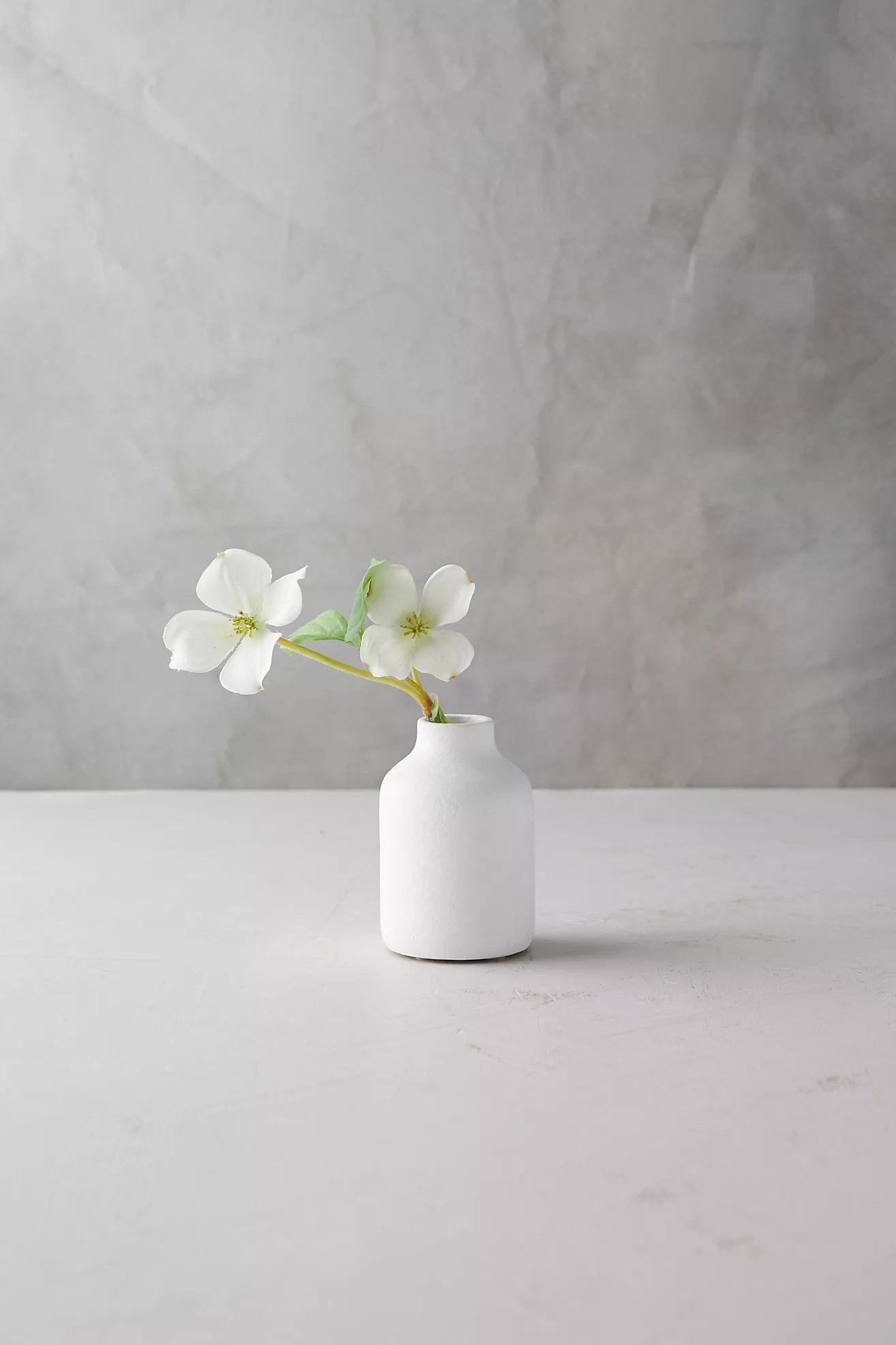 Matte Terracotta Bud Vase, Tall | Anthropologie (US)