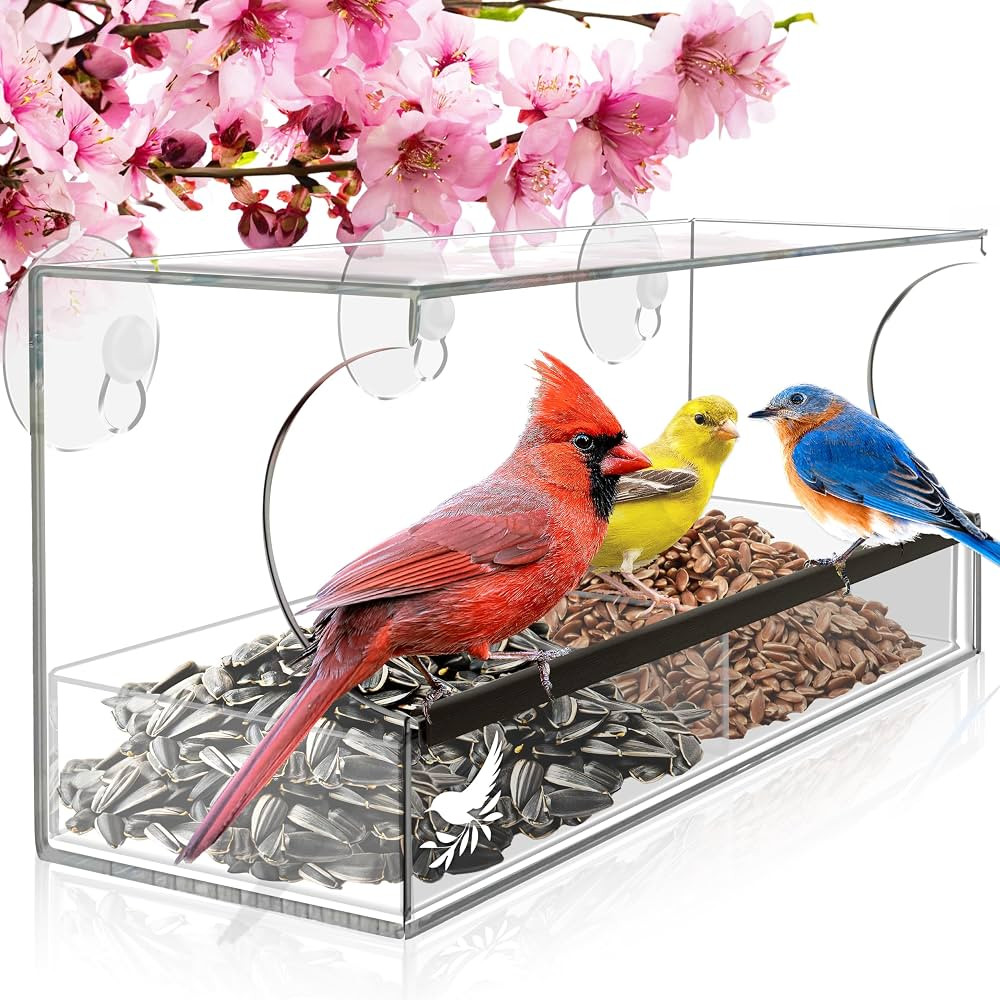 Easy to Use Window Bird Feeder to Attract Birds, Cool and Unusual for Adults who have Everything,... | Amazon (US)