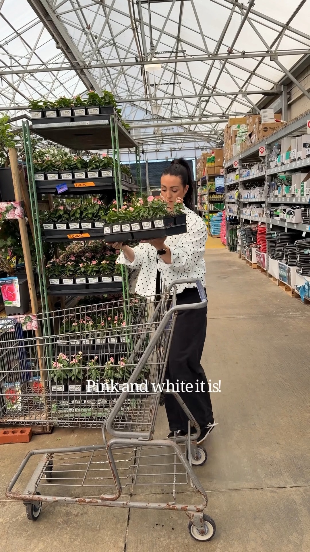 #ad It’s time for a little spring refresh in our front and back yard. I headed to my local @lowes  and bought all new annuals for my ground flowers and planters! I also found 3 more Little Gem Magnolias that I can only find there! Perfect time to get your gardening supplies and add spring touches to your yard. #lowespartner 


#LTKSeasonal #LTKdayinmylife #LTKHome