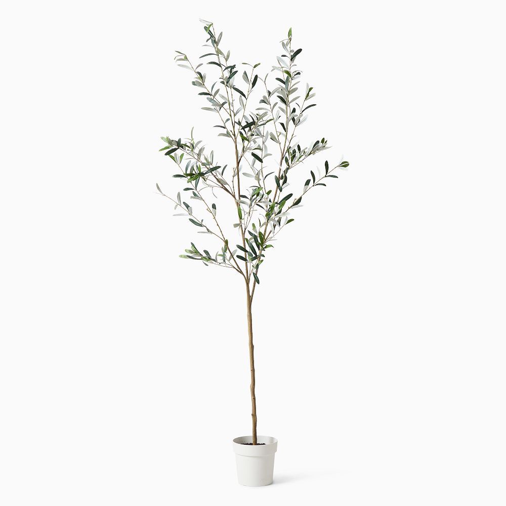 Faux Potted Black Olive Tree, 6.5', Green | West Elm (US)