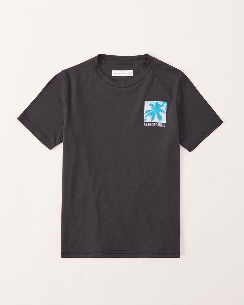 imagery logo graphic tee | Abercrombie & Fitch (US)
