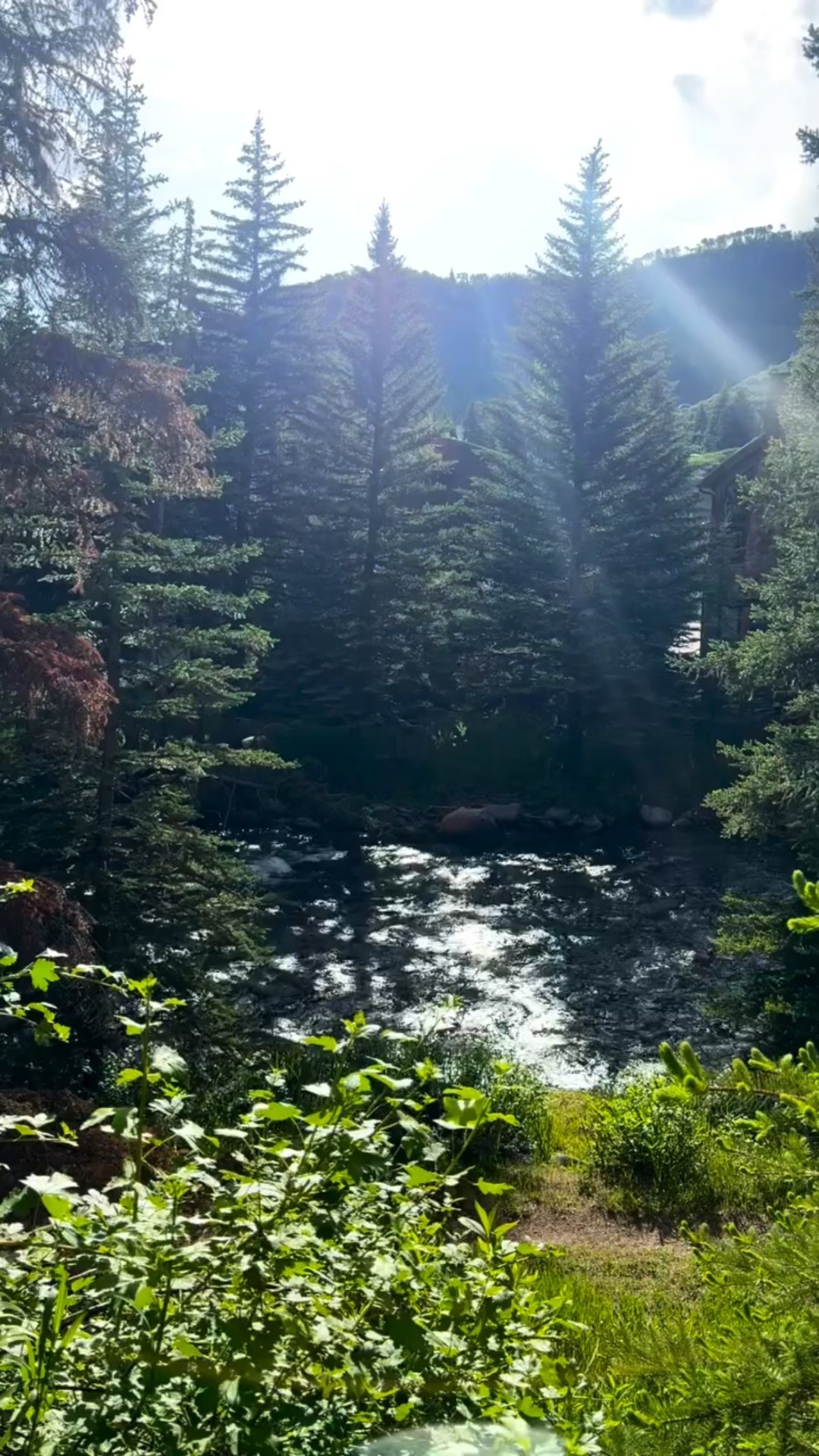 Vail 2025 🌲 
Good food, friends and lacrosse. It was such a great week. This is one of our favorite trips!

#bergbakes #family #food #lacrosse #vacation #vail #vailcolorado