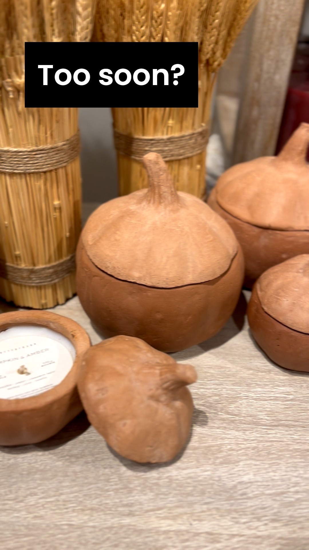 Terra cotta pumpkins have been going strong for a few years now and it doesn’t look like this Fall decor trend is slowing down anytime soon!

I’m absolutely snapping up a few of these beauties to add to my autumn decoration bin- I bet these will sell out fast.  There are also a few similar options linked at lower price points!

PS- once you burn the candle, save it and use it to store your Halloween candy 🎃!

#terracotta #pumpkindecor #potterybarn



#LTKautumn #LTKHome #LTKSeasonal