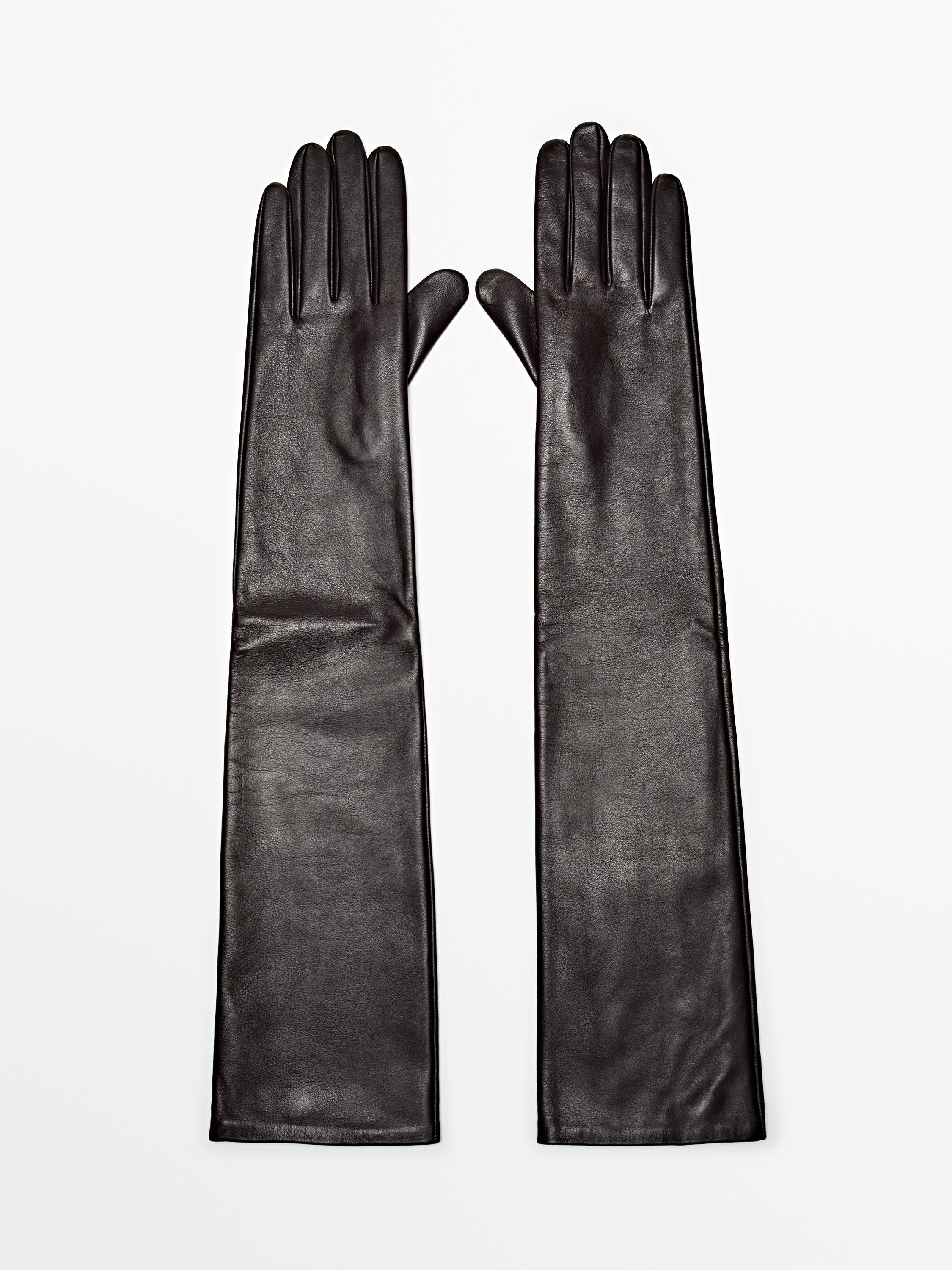Long nappa goatskin gloves | Massimo Dutti US