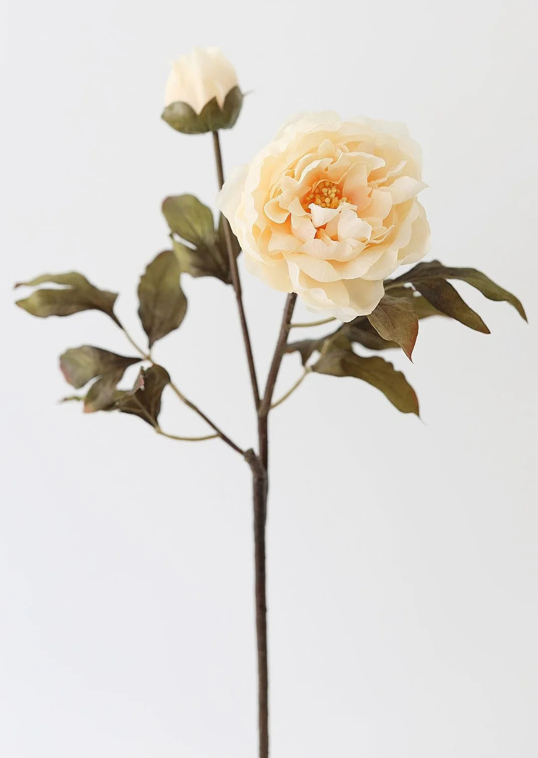 Beige Peony Stem | Fake Flowers for Home Styling | Afloral.com | Afloral