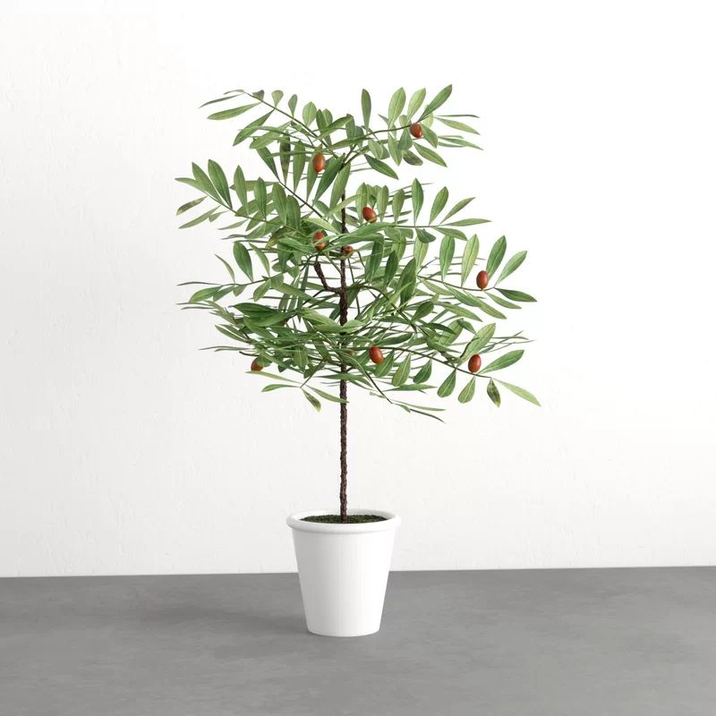 27" Artificial Olive Tree in Pot | Wayfair North America