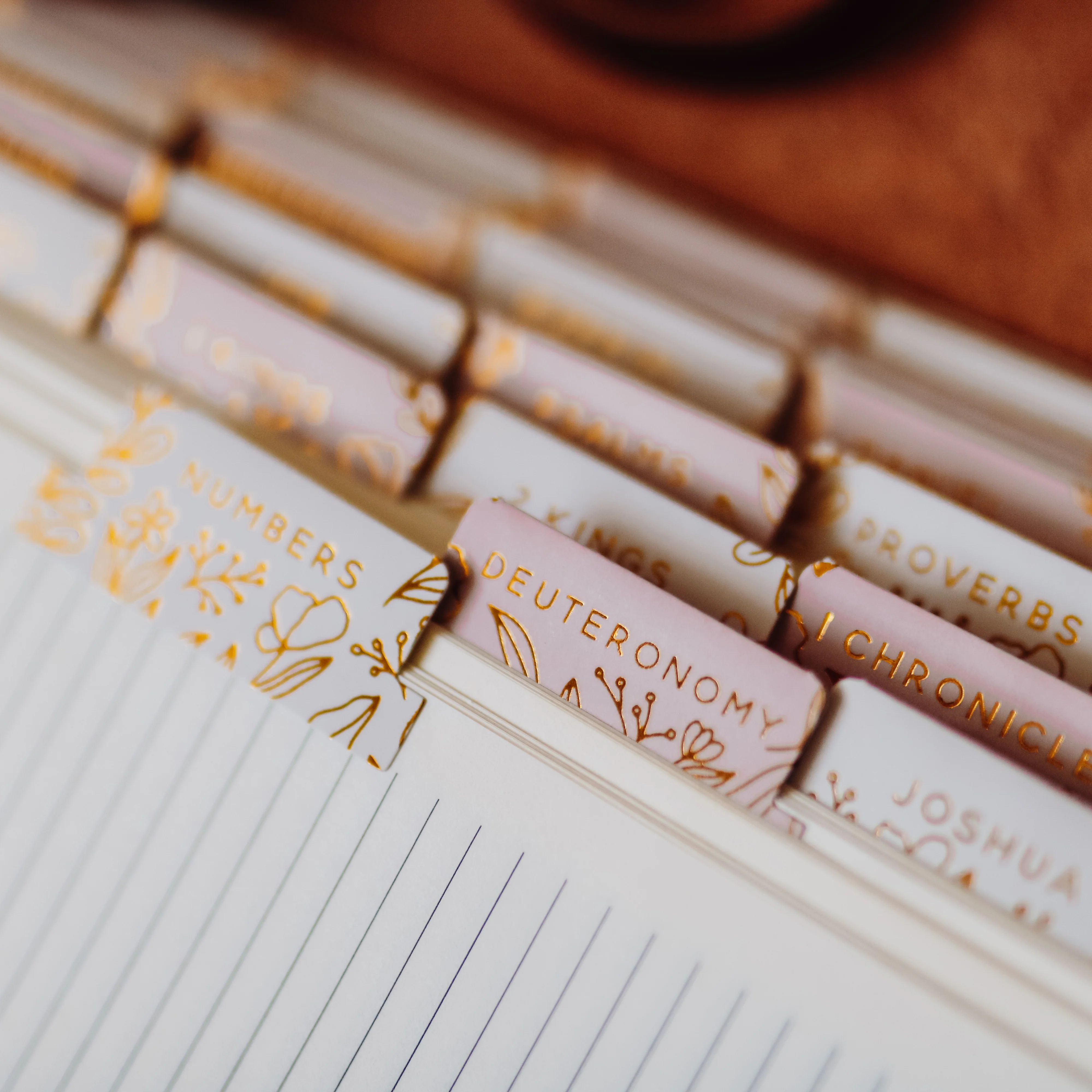 Gold Foil Bible Tabs - Dusty Pink | The Daily Grace Co.