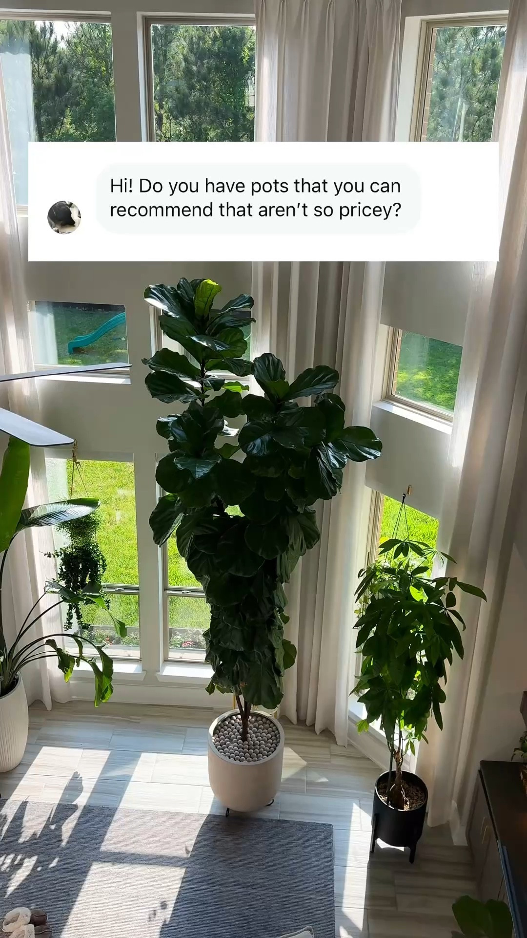 My favorite planters, starting with the most affordable! 🌿 #PlantMom #Planters #HomeDecor

#LTKMothersDay #LTKmomlife #LTKHome