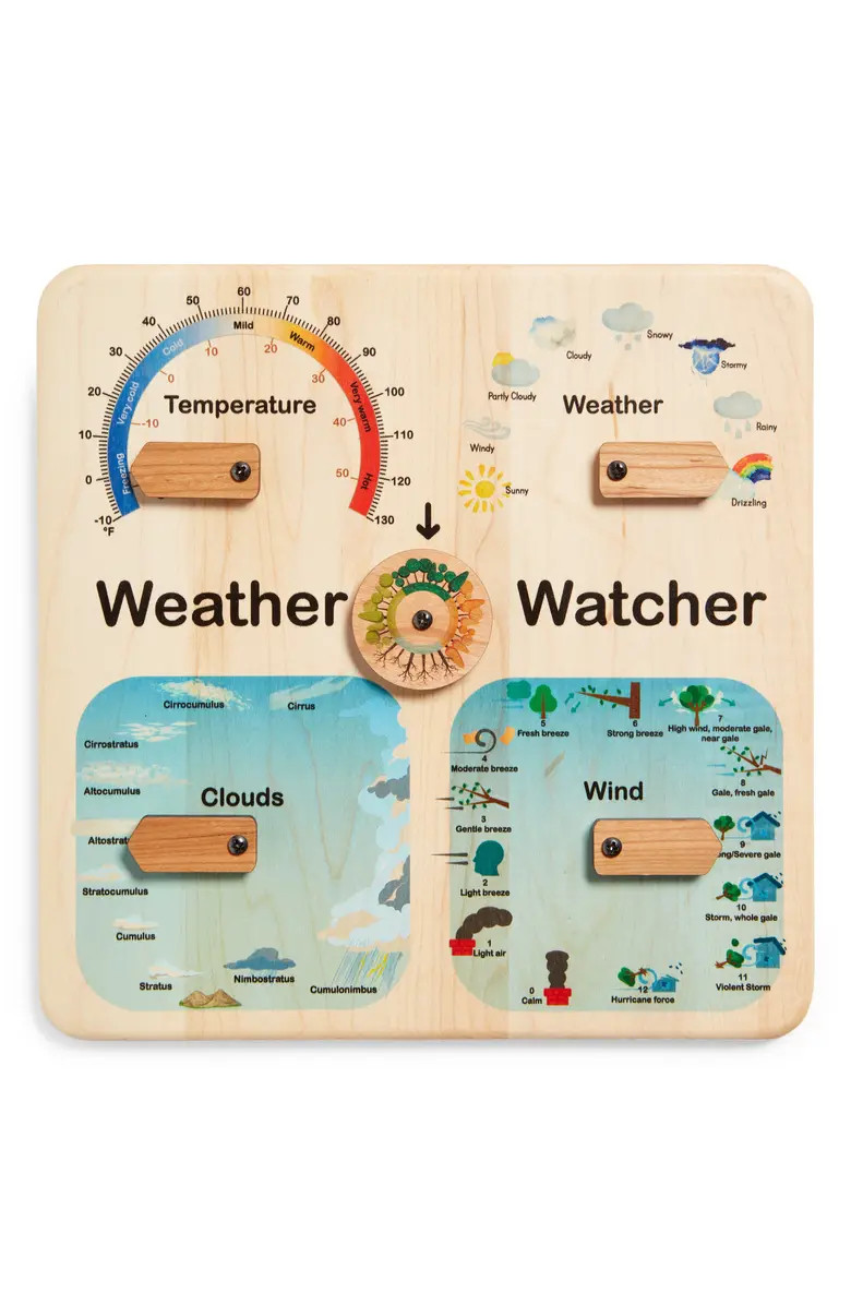 Mirus Toys Kids' Wood Weather Station | Nordstrom | Nordstrom