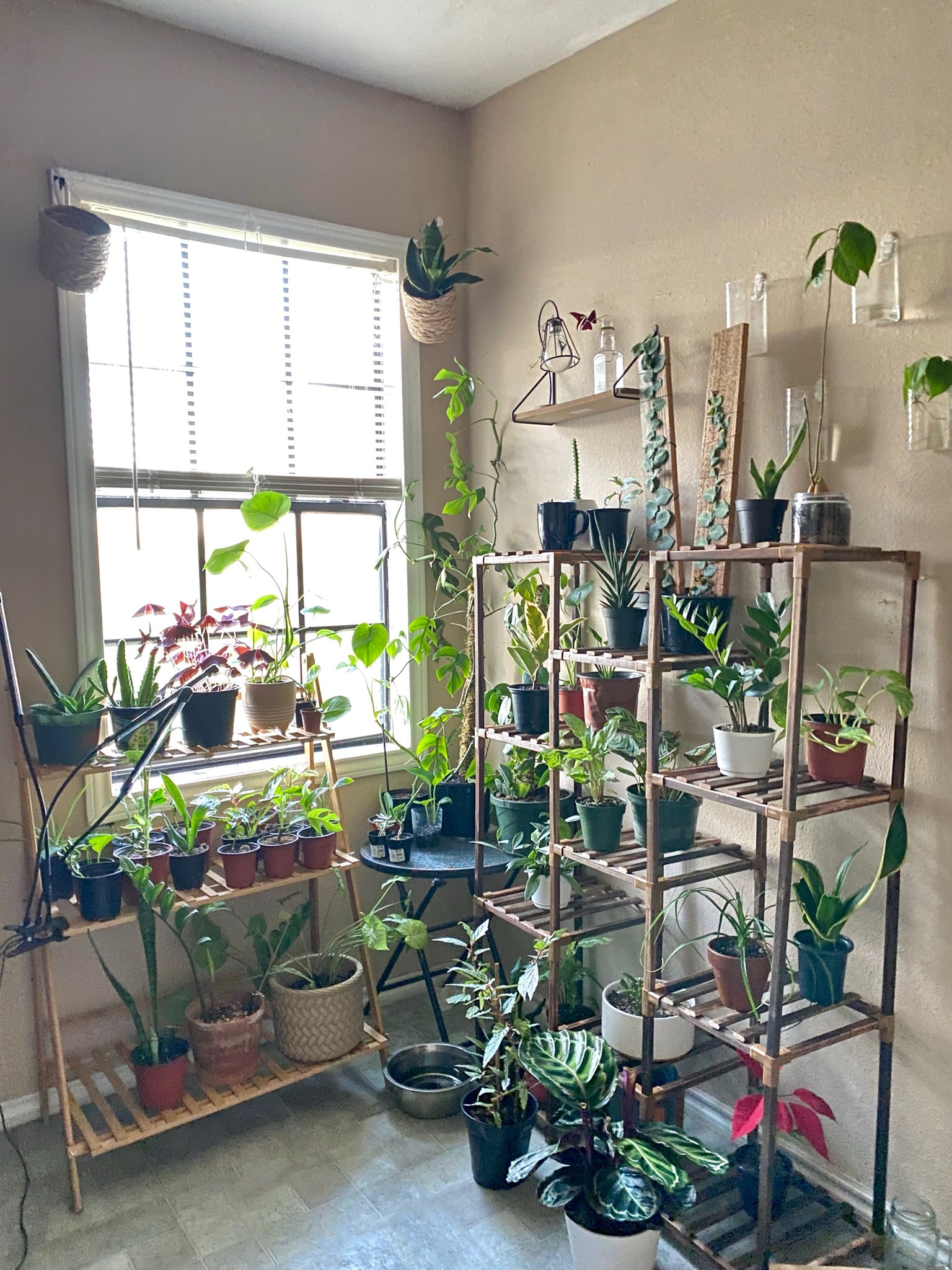 Home Decor Plant stand 

#LTKunder100 #LTKhome