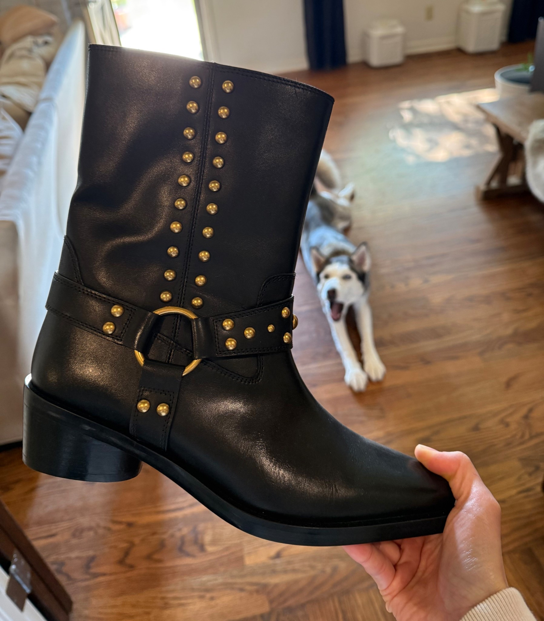 Vince Camino boots on sale under $100 with dsw extra sale! Through 10/12! This is the best deal on these boots right now from any website. Boots with stud detail add interest to any outfit and will look cute with barrel heals, straight leg, dresses and more this chillier season. These also come in a pretty medium brown color

Also tagged other black boot options!

Family photos, boots, boots for fall, fall outfits, studded boots, black boots, black leather boots, moto boot, western boot, brown boot

#LTKCyberWeek #LTKHoliday #LTKGiftGuide