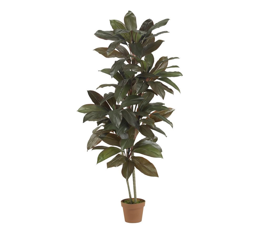 Faux Potted Cordyline Plant | Pottery Barn (US)