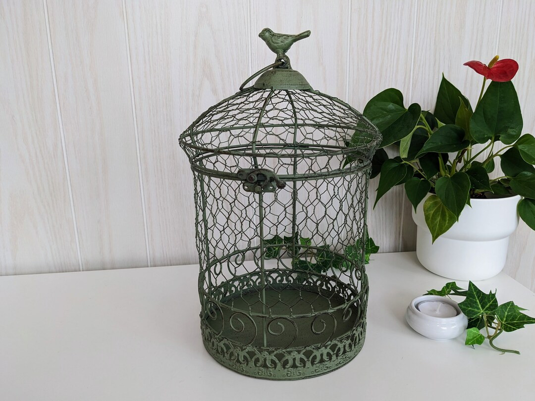 Domed 12" Shabby Green Metal Chicken Wire Birdcage with Flip Top Lid Planter Bird Cage Centerpiec... | Etsy (US)