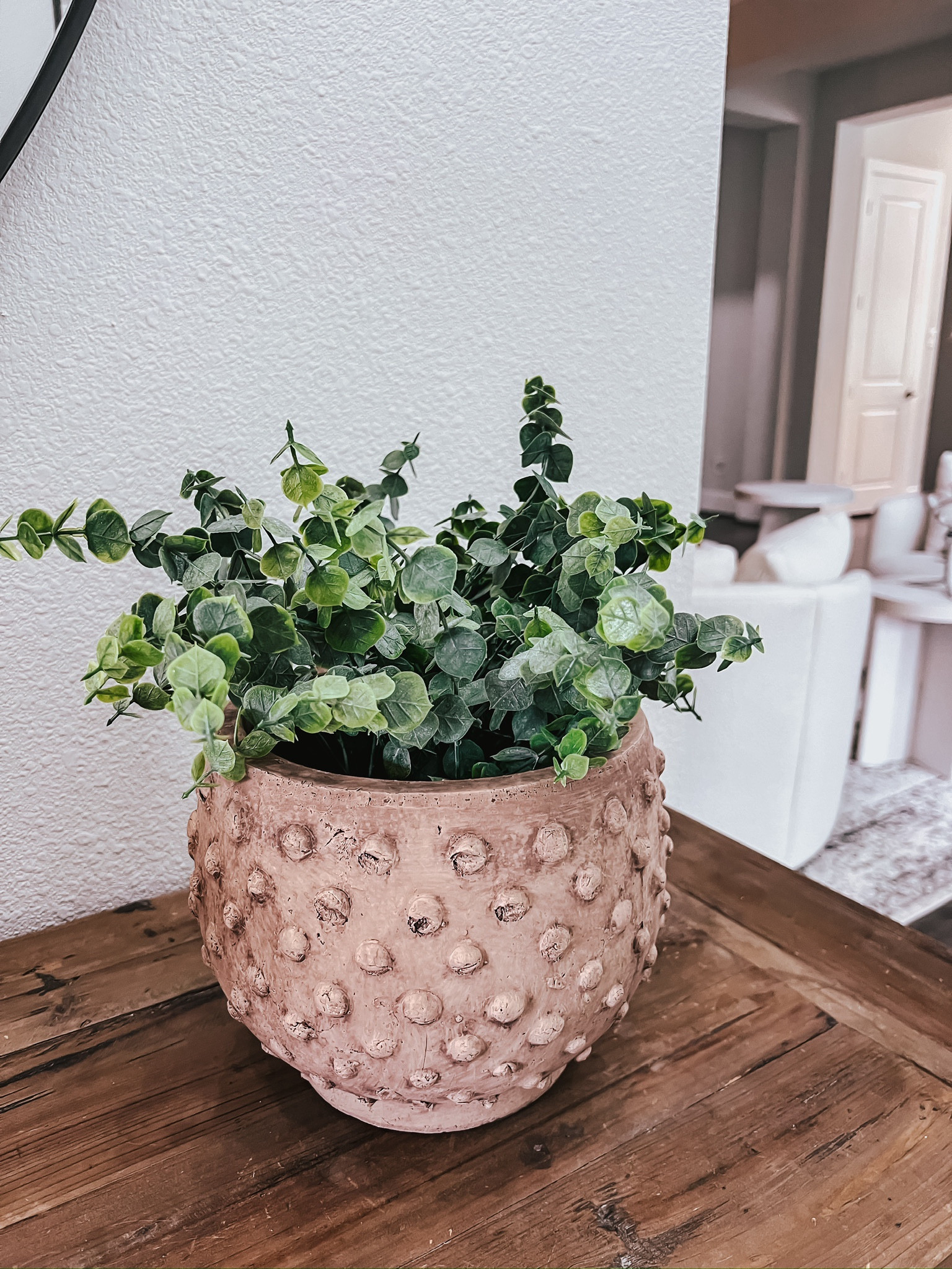 Spring refresh! 
#founditonamazon 

#LTKhome #LTKSeasonal #LTKstyletip